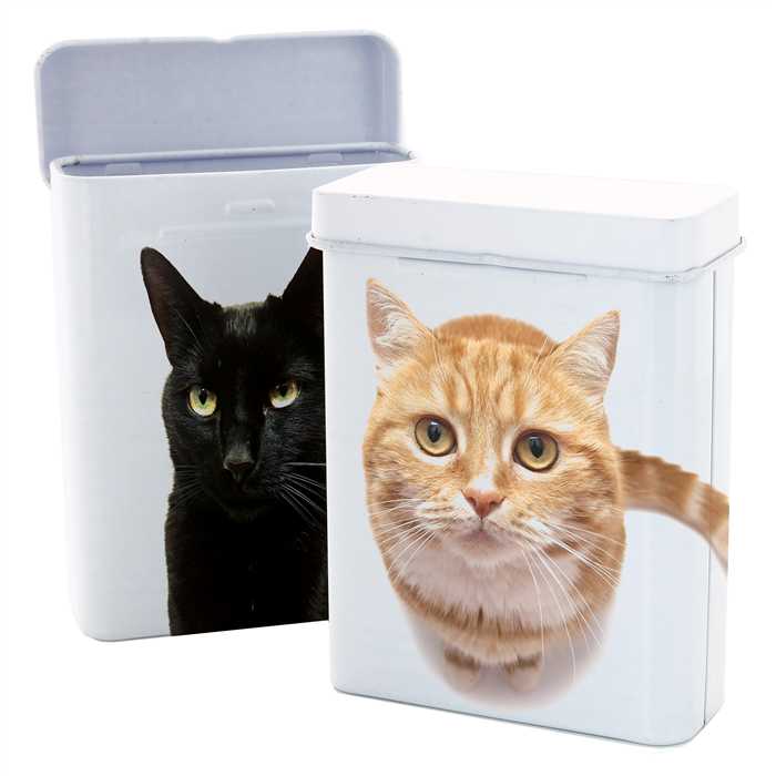 CIGARETTE BOX CATS 2 (X12)
